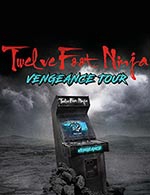 Book the best tickets for Twelve Foot Ninja - Cco De Villeurbanne -  March 14, 2023