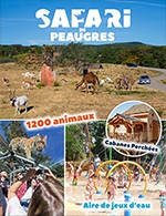 Réservez les meilleures places pour Safari De Peaugres - Liberte - Safari De Peaugres - Du 31 décembre 2021 au 31 décembre 2023