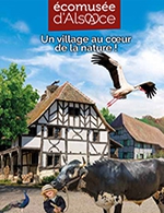 Réservez les meilleures places pour Ecomusee D'alsace - Ecomusee D'alsace - Du 05 avril 2022 au 01 janvier 2023