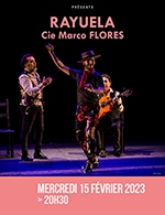 Réservez les meilleures places pour Rayuela Cie Marco Flores - Theatre Municipal Jean Alary - Le 15 février 2023