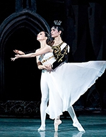 Réservez les meilleures places pour Cendrillon - Grand Ballet De Kiev - Theatre Pierre Cravey - Le 16 février 2023