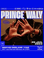 Book the best tickets for Prince Waly - Ninkasi Gerland / Kao - From 24 January 2023 to 25 January 2023