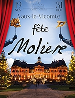 Book the best tickets for Vaux Le Vicomte En Fete - Chateau De Vaux Le Vicomte - From 22 November 2022 to 30 December 2022