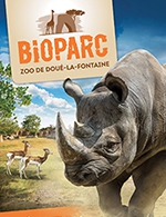 Réservez les meilleures places pour Bioparc-zoo De Doue La Fontaine - Bioparc-zoo De Doue La Fontaine - Du 4 févr. 2023 au 12 nov. 2023