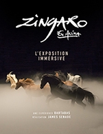 Book the best tickets for Zingaro Ex-anima - Paris Expo - Hall 5 - From April 28, 2023 to June 2, 2023