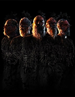 Réservez les meilleures places pour Meshuggah - Rocher De Palmer - Le 19 juin 2023