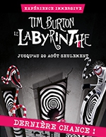 Book the best tickets for Tim Burton - Apres-midi Premium - La Villette - Espace Chapiteaux - From May 22, 2023 to August 20, 2023