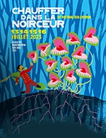 Book the best tickets for Chauffer Dans La Noirceur - Pass 4 Jours - Plage De Montmartin Sur Mer - From July 13, 2023 to July 16, 2023