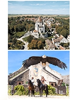 Book the best tickets for Pass Provins + Les Aigles Des Remparts - Cite Medievale - From March 25, 2023 to November 5, 2023
