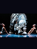 Réservez les meilleures places pour Recirquel Cirque Danse - Palais Des Festivals-grand Auditorium - Le 2 décembre 2023