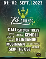 Book the best tickets for Festival Zik'caulnes - Pass 1 Jour - Complexe Sportif - Caulnes - From September 1, 2023 to September 2, 2023