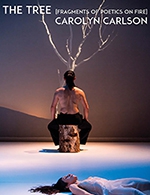 Book the best tickets for The Tree - La Chaudronnerie/salle Michel Simon -  March 23, 2024