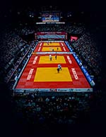 Book the best tickets for Paris Grand Slam 2024 - Accor Arena - From Feb 2, 2024 to Feb 4, 2024