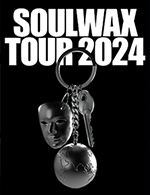 Réservez les meilleures places pour Soulwax - Le Transbordeur - Le 17 janvier 2024