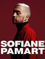 Book the best tickets for Sofiane Pamart - Arkea Arena -  Nov 29, 2023